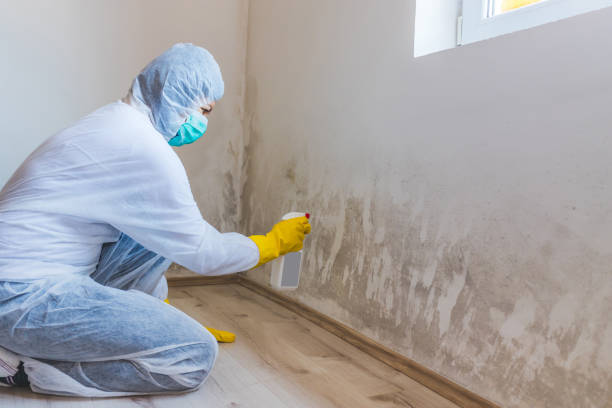 Licensed Mold Inspection service in Garrett Park, MD - WQB Mold Removal