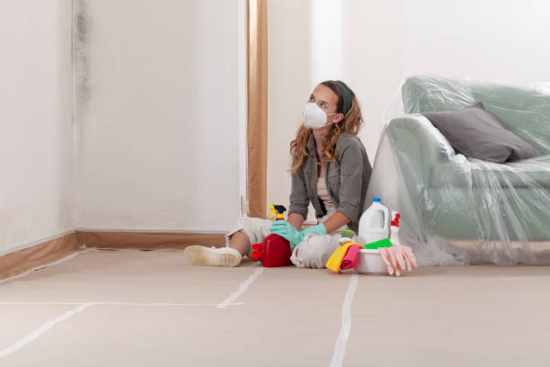 Reliable Mold Inspection contractor in Garrett Park, MD by WQB Mold Removal