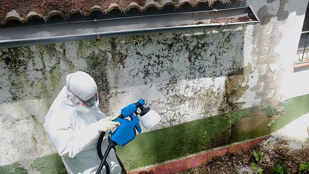 Top rated local Mold Inspection specialists in Garrett Park, MD